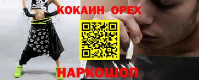 мдпв Камышлов