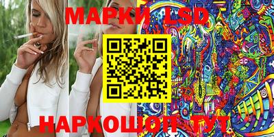 мдпв Камышлов