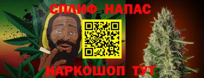стаф Кандалакша