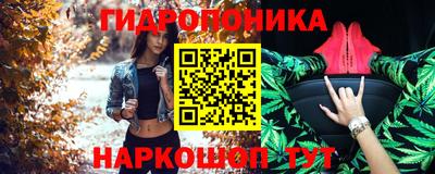 стаф Кандалакша
