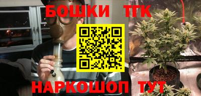 мдпв Камышлов