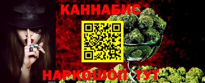 стаф Кандалакша